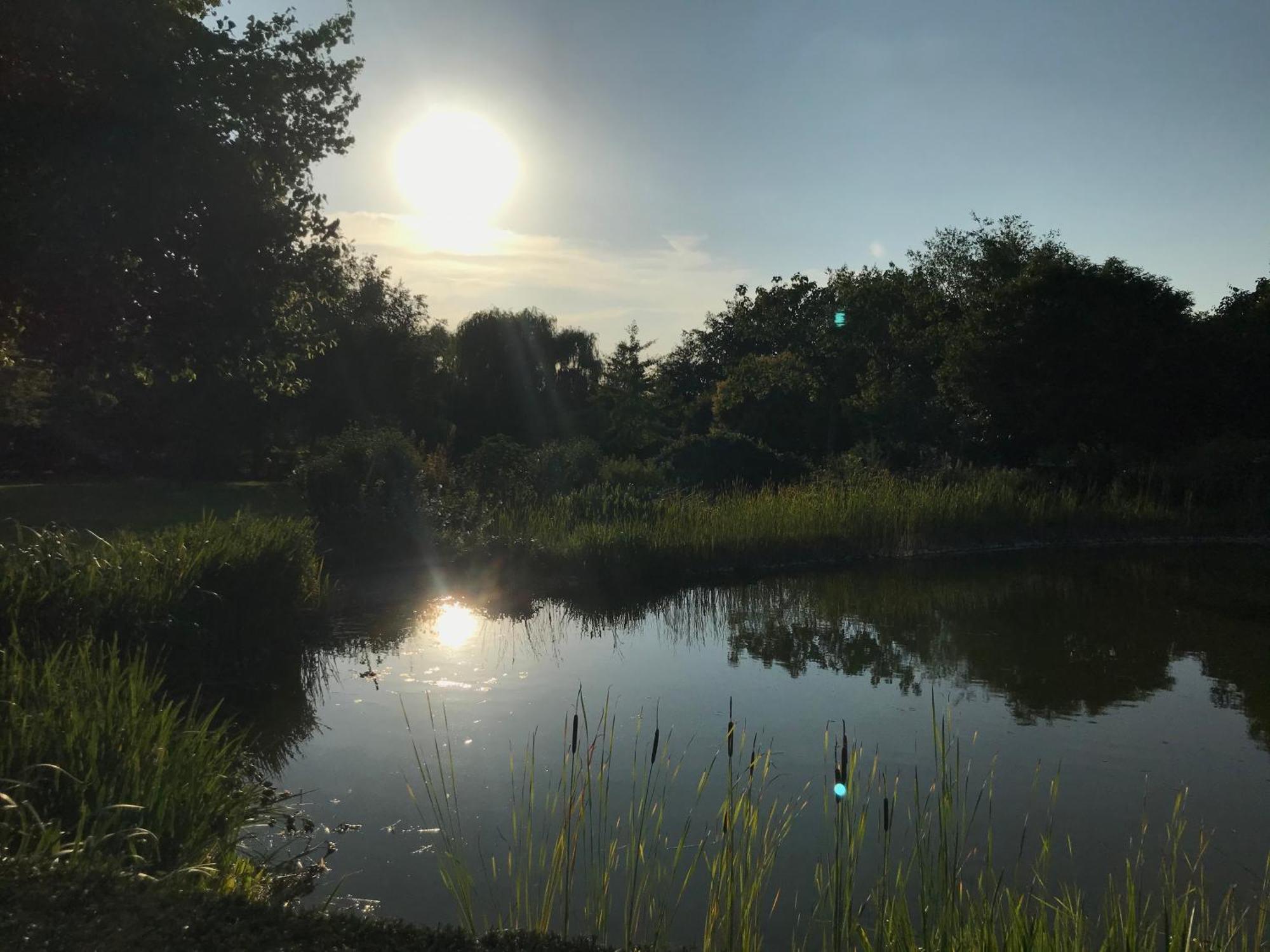 Imagine B&B Wortegem Eksteriør bilde